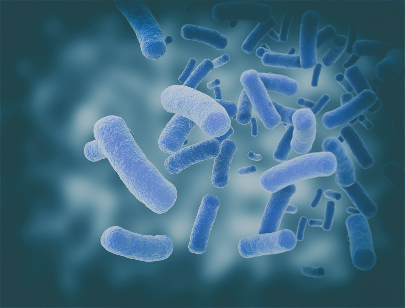 gut bacteria in PWS