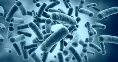 Probiotic | Prader-Willi Syndrome | Microbiome | Illustration of gut microbiome