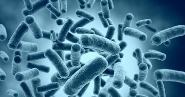 Probiotic | Prader-Willi Syndrome | Microbiome | Illustration of gut microbiome