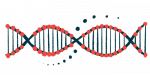This is an illustration of a multi-colored DNA strand.