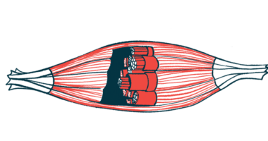 An illustration shows the inner workings of a human muscle.